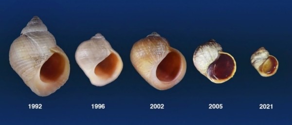 Эволюция в действии: 30-летний эксперимент раскрывает невероятные тайны